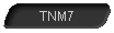  TNM7 